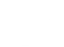 7 Management
